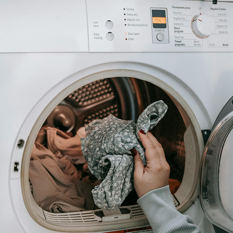Seche-linge